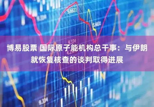 博易股票 国际原子能机构总干事：与伊朗就恢复核查的谈判取得进展